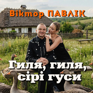 Гиля, гиля, сірі гуси
