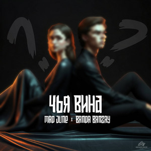 Чья вина
