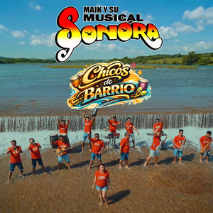 Sones de Artesa de Cruz Grande by Maik Y Su Musical Sonora