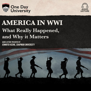 America in WWI - What Really Happened, and Why it Matters (Unabridged)
