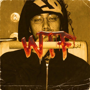 WTF by SAURAV, Paudi band