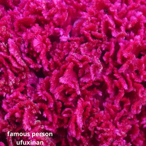 Famous Person by ufuxinan