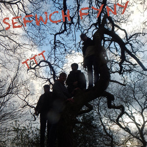 Sefwch Fyny