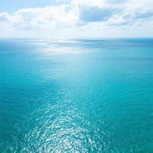 Coli buceng - Pouting