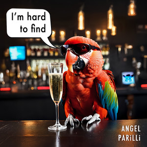 I'm Hard to Find by ANGEL PARILLI