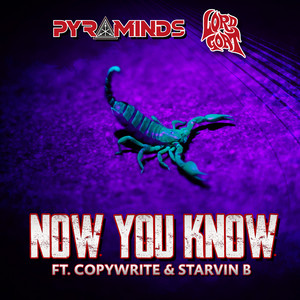 Now You Know by Pyraminds, Lord Goat, Copywrite, Starvin B