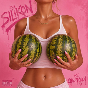 SILIKON by Chauffören