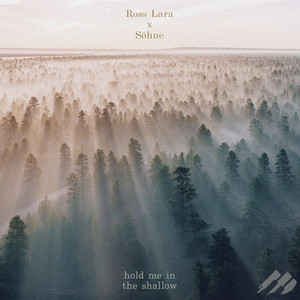 hold me in the shallow by Ross Lara, Söhne