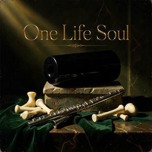 One Life Soul Bass Rolling Groove by Camixer bierber