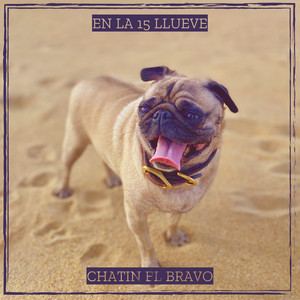 En La 15 Llueve by CHATIN EL BRAVO