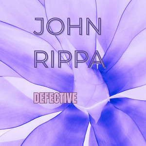 Defective - Radio Edit by John Rippa