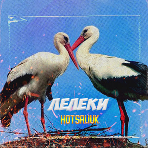 Hotsaliuk - Лелеки