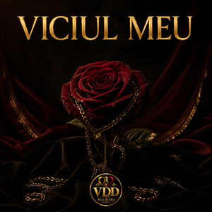 Viciul meu by Voci De Dor