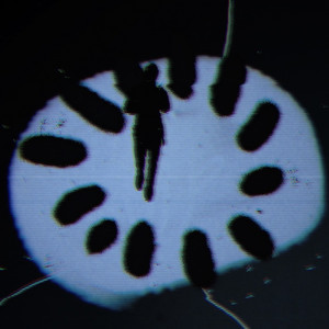 Shadow Dance