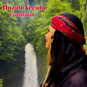 Hozan Necato - Ver Govende