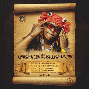 The Billionaire by Lucy Q