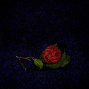 I Should Know by Coco GB