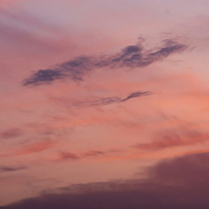 octopusmurders - Far Away