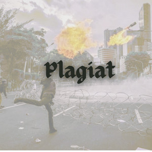 Plagiat by Skeptic Memory
