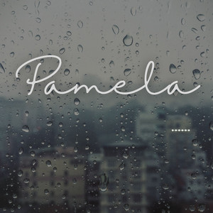 pamela by Acertijo Music Corp Album Cover