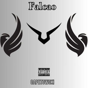 Falcao by Capetowski