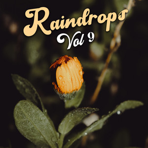 Raindrops Vol 9