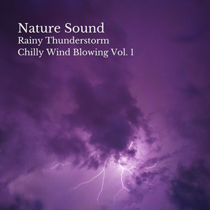 Nature Sound: Rainy Thunderstorm Chilly Wind Blowing Vol. 1 album