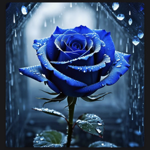 Blue rose (diamond) by Wallence, Jane