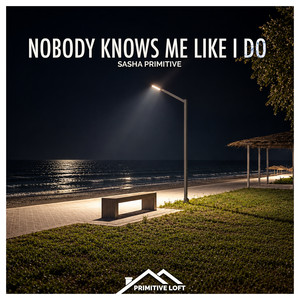 Nobody Knows Me Like I Do by Sasha Primitive