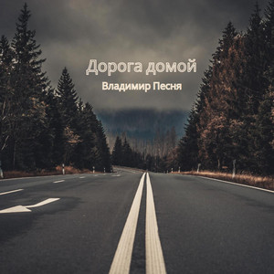Владимир Песня — Дорога домой