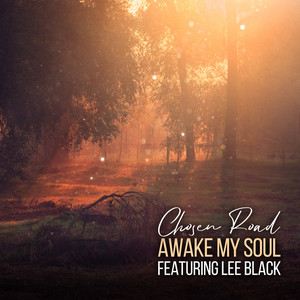 Awake My Soul album cover