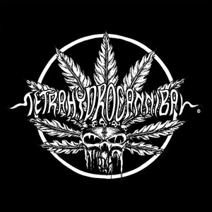Tetrahydrocannibal artist photo