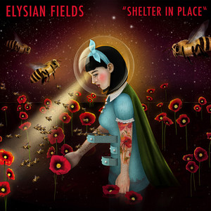 Shelter in Place
