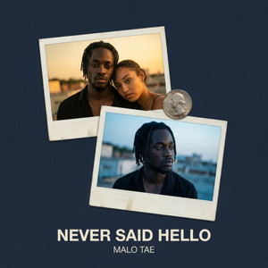 Never Said Hello by Malo Tae