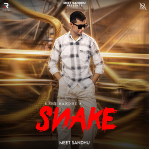 SNAKE by Meet Sandhu