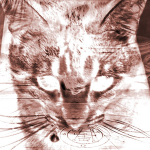 chrov - this how i turn up when i get a 3.5 #wolfpack 2 (notclickbait)