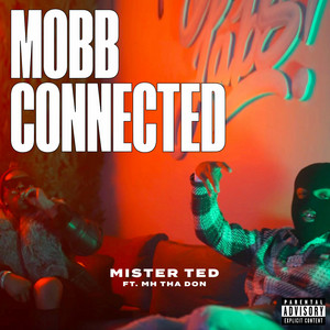 Portada de Mobb Connected