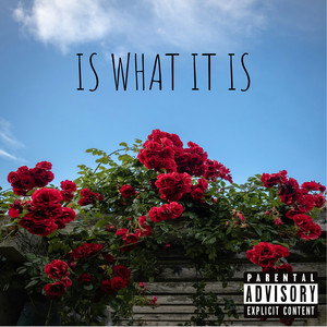 Is What It Is by KennethWayne