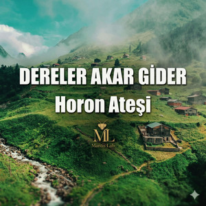 Dereler Akar Gider