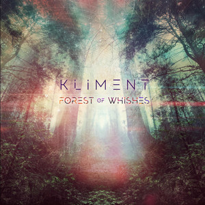 Forest of Wishes (Remixes) cover art