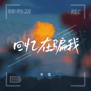 回忆在骗我 by 辛雯