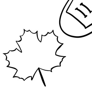 Melodías de Canadá - Ritmos del corazón