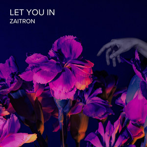 Let You In by Zaitron