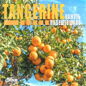 Кажуть Подешевшало — Tangerine