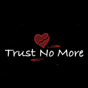 Never Trust a....