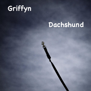Dachshund by Griffyn