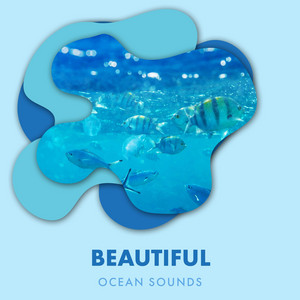 Beautiful Ocean Sounds Album album