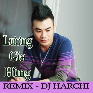 Lương Gia Hùng - Mấy Nhịp Cầu Tre (Remix)