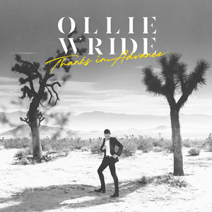 The Driver by Ollie Wride