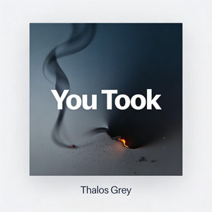You Took by Thalos Grey